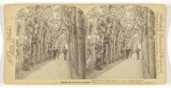 Queen Mary’s Bower, Hampton Court, London, England, 1892, Underwood & Underwood, American, active