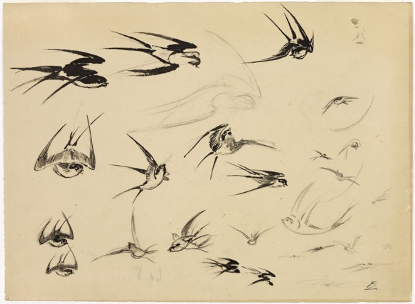 The Swallows, c. 1881, Félix Henri Bracquemond, French, 1833–1914, France, Pen and brush and black