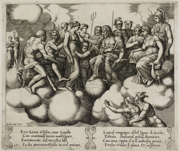 Venus and Cupid Pleading Their Cause in the Presence of Jupiter and Other Gods, 1530/40, Master of