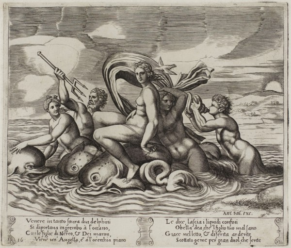 Psyche Served in Her Bath by Nymphs She Cannot See, 1530/40, Agostino dei Musi (Italian, c.