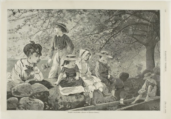 Spring Blossoms, published May 21, 1870, Winslow Homer (American, 1836-1910), published by Harper’s