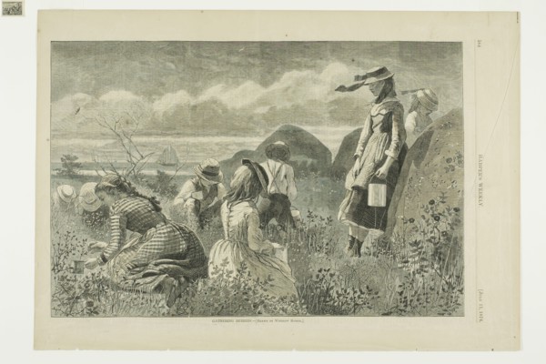 Gathering Berries, published July 11, 1874, Winslow Homer (American, 1836-1910), published by