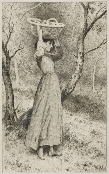 Young Girl in an Orchard with a Basket of Fruit, c. 1850, Miles Birket Foster, English, 1825-1899,