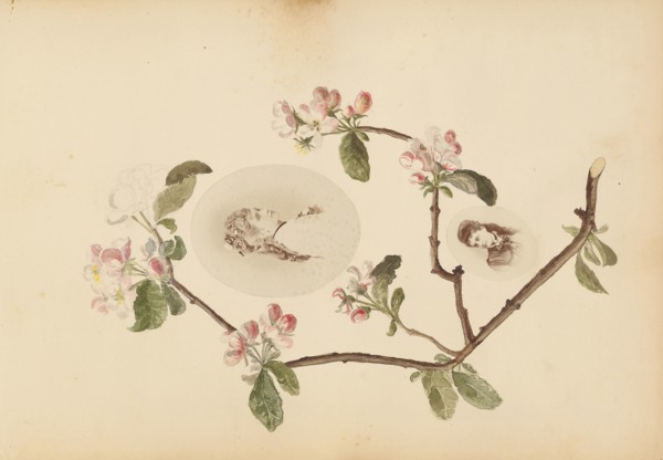 The Madame B Album, 1870s, Marie-Blanche-Hennelle Fournier, French, 1831–1906, France, Albumen