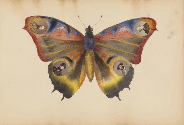 The Madame B Album, 1870s, Marie-Blanche-Hennelle Fournier, French, 1831–1906, France, Albumen
