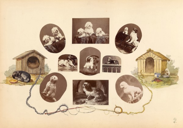 The Madame B Album, 1870s, Marie-Blanche-Hennelle Fournier, French, 1831–1906, France, Albumen