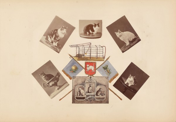 The Madame B Album, 1870s, Marie-Blanche-Hennelle Fournier, French, 1831–1906, France, Albumen