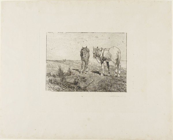 Horses’ Rest, c. 1885, Giovanni Fattori, Italian, 1825-1908, Italy, Etching with drypoint and foul