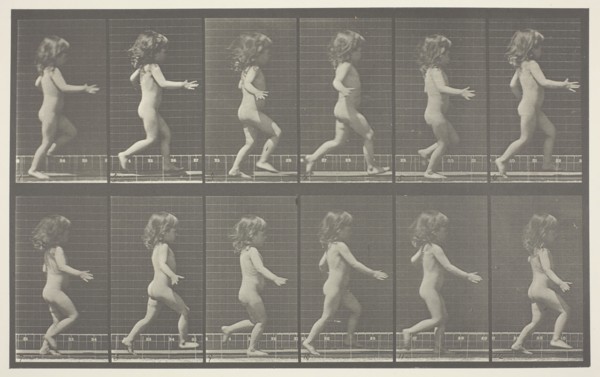 Animal Locomotion, Plate 469, 1887, Eadweard Muybridge, English, active United States, 1830–1904,