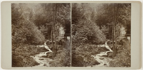 Untitled (Schweizerlat, St. Goarshausen), 1860s, Germany, Albumen print, stereo, 8.1 x 7.5 cm (each
