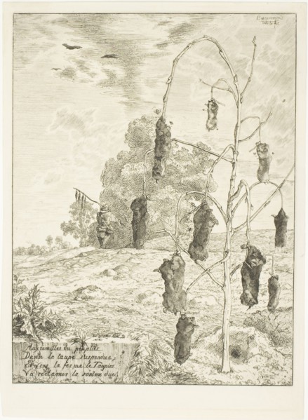 Moles, 1854, Félix Bracquemond, French, 1833-1914, France, Etching in black on ivory laid paper,