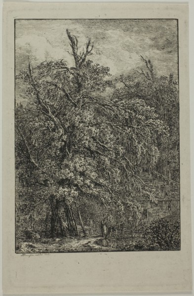 Great Tree, 1809, Domenico Quaglio II, German, 1787-1837, Germany, Etching on cream wove paper, 174