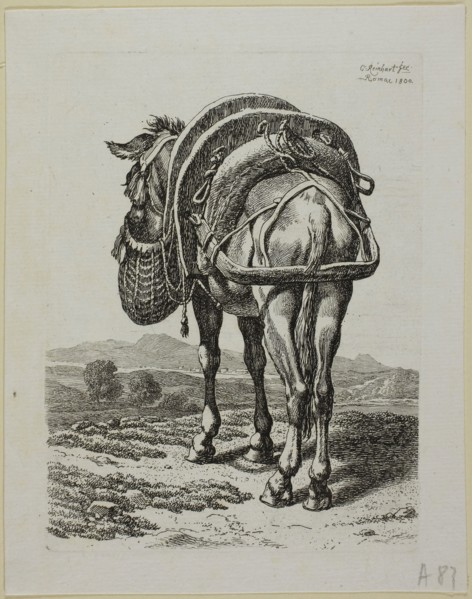 Feeding Mule, Rear, from Die Zweite Thierfolge, 1800, Johann Christian Reinhart, German, 1761-1847,