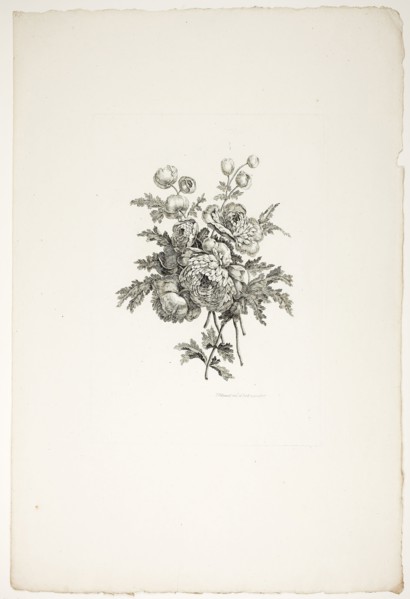 Bouquet with Peonies, from Collection of Different Bouquets of Flowers, Invented and Drawn by Jean