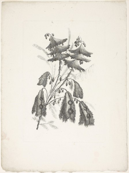 Bouquet, from Collection of New Flowers of Taste for the Manufacture of Persian Cloth, Invented and