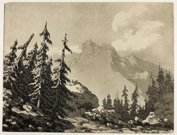 Pine Trees in the Mountains, 1789, John Robert Cozens, English, 1752-1799, England, Aquatint and