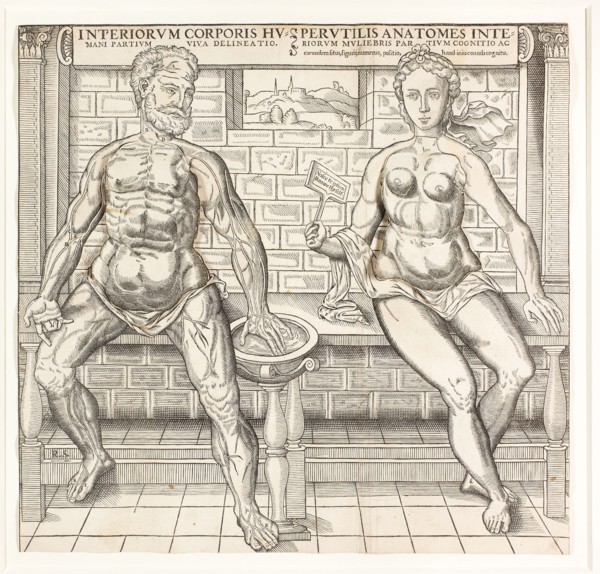 Interiorum corporis humani partium viva delineatio, from the second edition of the Compendiosa