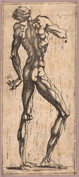 Man Turning His Head to the Left, c. 1543, Juste de Juste, French, 1505-1559, France, Etching in