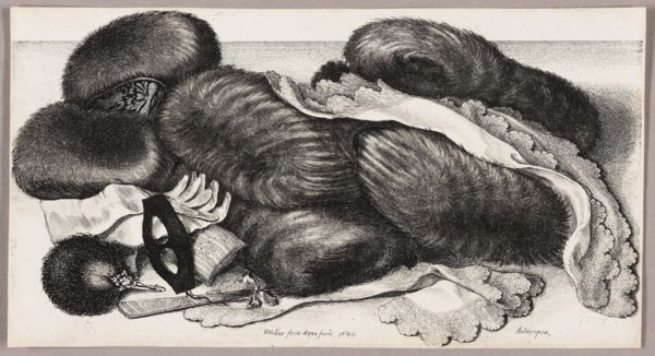 Still-Life with a Group of Muffs, a Pair of Gloves, and Two Kerchiefs, 1647, Wenceslaus Hollar,