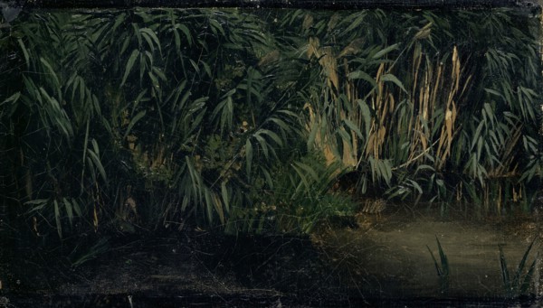 Reed, 1845, oil on canvas, mounted on cardboard, 14.8 x 26 cm, monogrammed and dated lower left: A.