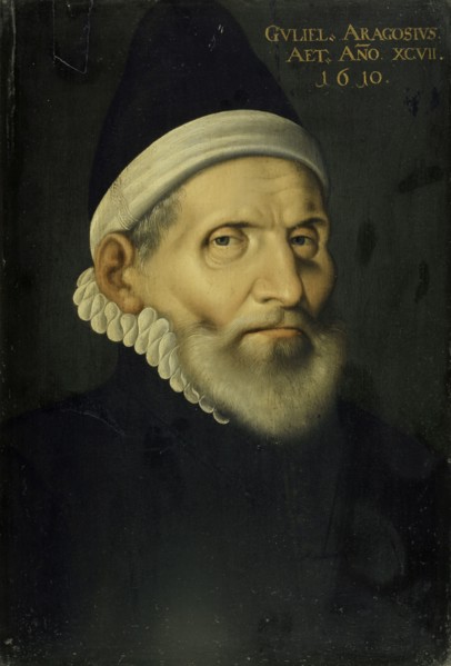 Portrait of the medical professor Wilhelm Aragosius from Toulouse, 1610 (?), Oil on panel, 38.5 x