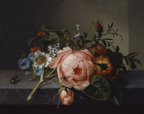 Still Life with Rose Branch, Beetle and Bee, 1741, oil on canvas, mounted on oak, 20 x 24.5 cm,
