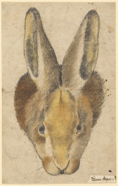 Rabbit from the front, pen in black, black and colored chalks, drawn by pencil, mounted, sheet: 22