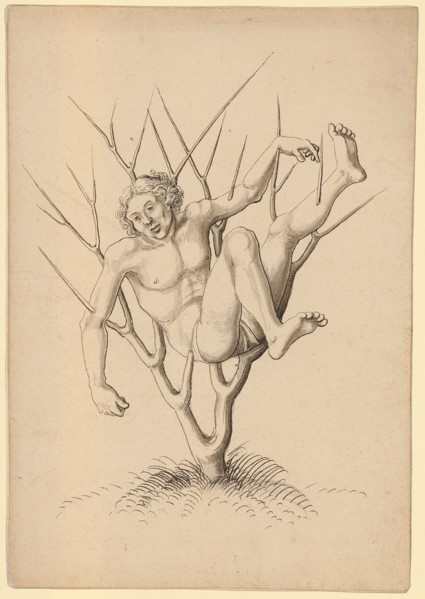 Martyr, impaled in thorn bush, feather in black, gray wash, sheet: 21.8 x 15.1 cm, not marked, Jörg