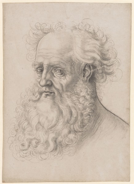Head of a bearded man, left, black chalk, partially wiped, sheet: 31.4 x 22.4 cm, unsigned, Hans