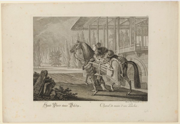 Hand Horse of a Pasha, 1741, copperplate, sheet: 35.6 x 51.5 cm |, Plate: 28 x 38 cm, in the plate