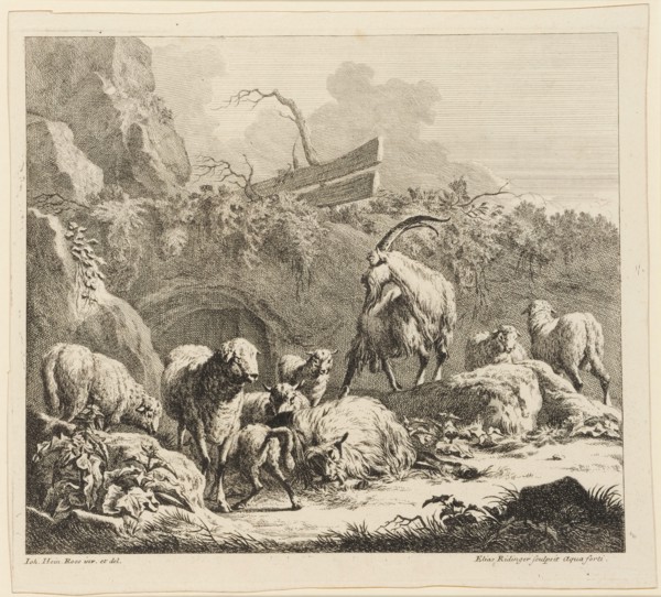 Goats, sheep and lambs, 1724-1728, etching, sheet: 28.2 x 31.1 cm |, Plate: 26.4 x 31.5 cm, In the