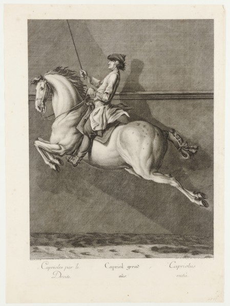 Capriole straight, 1734, etching, sheet: 59.8 x 43.8 cm |, Plate: 54.5 x 39.8 cm, U.l., below the