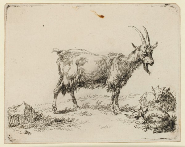 Two boys goat, etching, sheet: 10.4 x 13.2 cm |, Plate: 10.1 x 12.9 cm, Not specified, Nicolaes