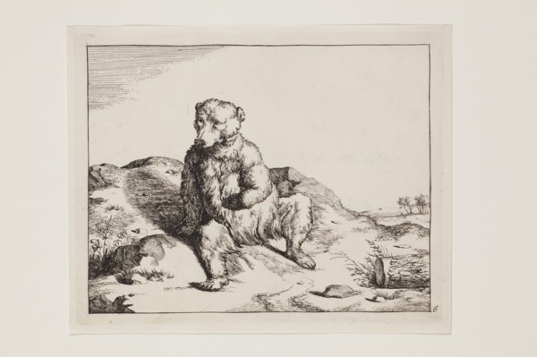 Marcus de Bye, Dutch, 1639 - 1690, after Paul Potter, Dutch, 1625 - 1654, Seated Bear Seen from the