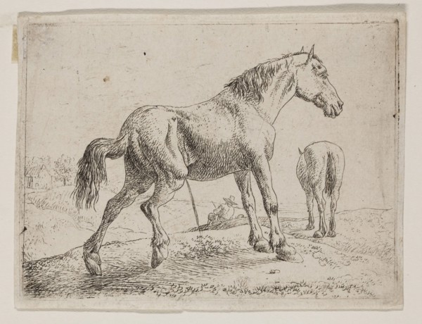 Jan van Aken, Dutch, 1614-1661, Pissing Horse, 17th century, etching printed in black ink on laid