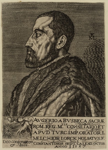 Melchoir Lorch, German, 1527-1594, Augier Ghislen Busbecq 1522 - 1592, 1557, engraving printed in