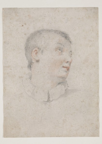 circle of Carlo Dolci, Italian, 1616-1687, Head of a Boy Facing Right, mid-17th century, black and