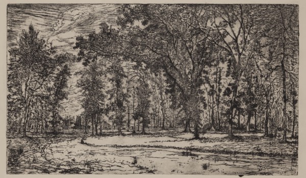 George W. Clark, American, Forest of Belle Isle Park - Detroit, 1893, etching printed in black ink