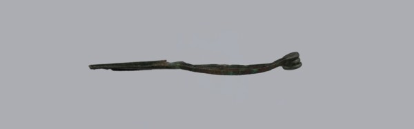 Arched fibula, Goluchów Greater Poland Voivodeship. Fibula with an arched bow; the pin emerges from