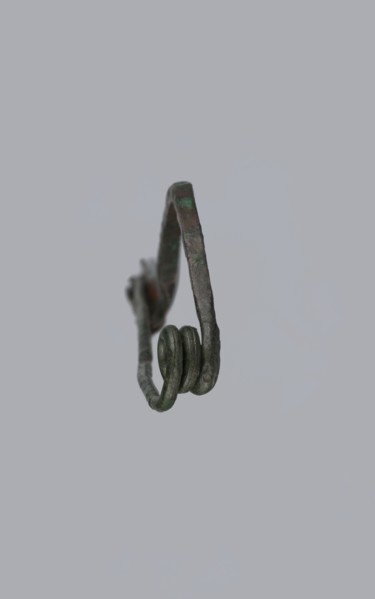 Arched fibula. Fibula with an arched bow; the pin emerges from a double-coiled spring. The sheath