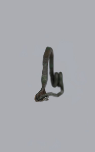Arched fibula. Fibula with an arched bow; the pin emerges from a double-coiled spring. The sheath