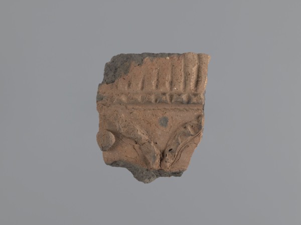 Fragment of a utility vessel Utility Ware. Made of type C Nile clay, highly porous with organic