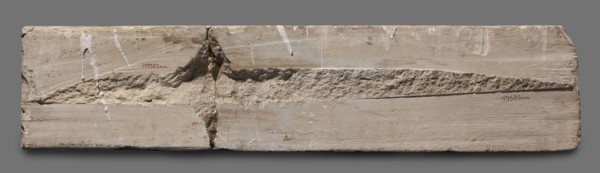 Fragments of wall decoration from the mastaba of the dignitary Tepemankh; Niuserre ruler of Egypt;