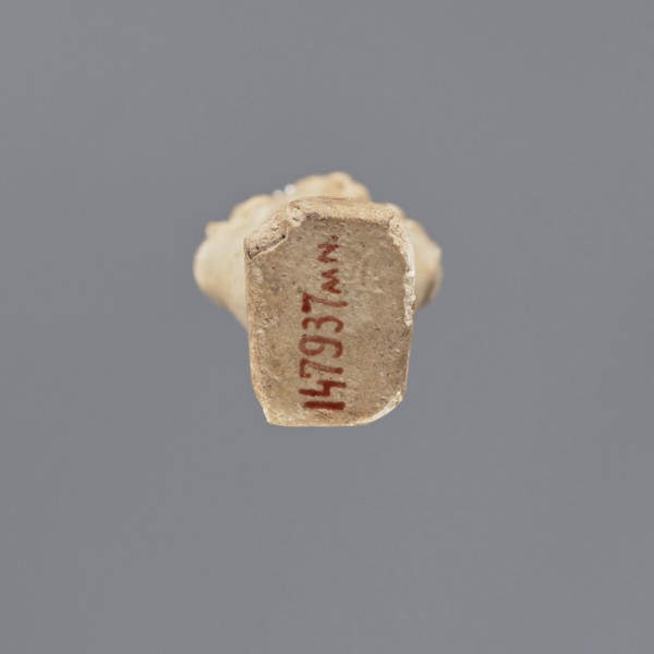 Shabti, Mummy-shaped figurine, funerary gift, standing on a base with back supported by a