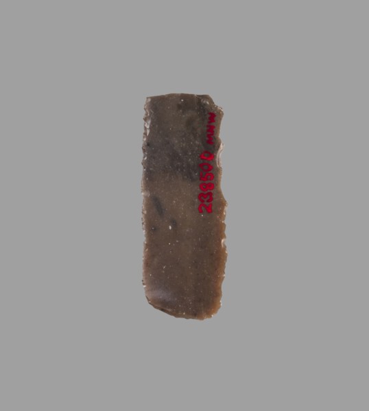 Blade - insert for a sickle, 4th millennium - 3rd millennium BC, Mesopotamia, Sumer, tool, A
