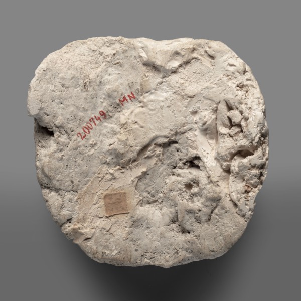 Mummy mask, Round face modeled in stucco with large eyes, a wide nose, a mouth in a slight