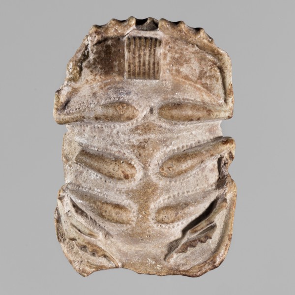 Scarab with naturalistic modeling; protective amulet depicting a sacred animal; amulet scarab;