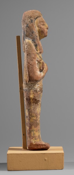 Ushabti, Restitution. Hieroglyphs; funerary figurine; wig; hoes; grave goods; mummy-shaped figurine