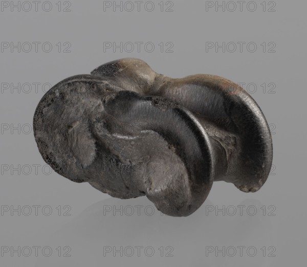 Cow astragal condylo-talus bone of a cow with a regular hole drilled in the center. Hellenistic