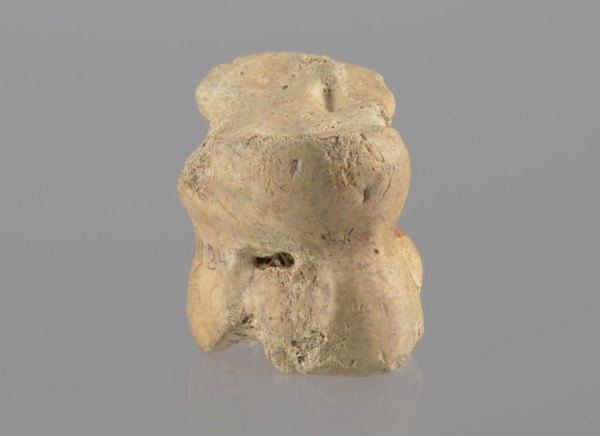 Cow astragal, Myrmekion Crimea, Hellenistic period, antiquity, cow astragal condylo-talus bone,